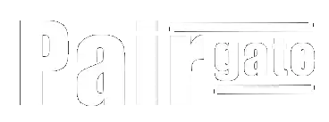 Pairgate logo